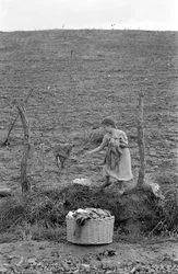 CROTONE Landschaft - Der kleine Wäscher