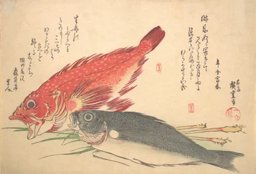 Isaki und Kasago Fisch, aus der Serie Uozukushi Jede Fischart, 1830er Jahre