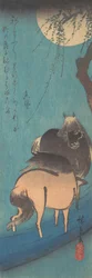 Zwei Pferde unter dem Mond