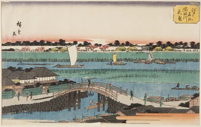 Kirschblüten in voller Blüte entlang des Sumida-Flusses