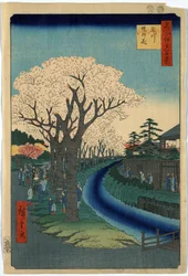 Druck zeigt Touristen, die Kirschblüten entlang des Ufers des Tama-Flusses in Edo betrachten, Holzschnitt von Ando Hiroshige
