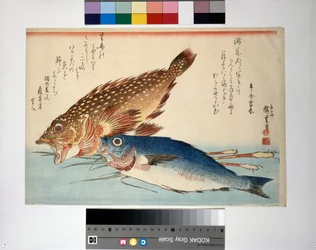 Skorpionfisch und Isaki-Fisch mit Ingwerwurzel