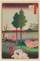 Suwa-Klippe, Nippori