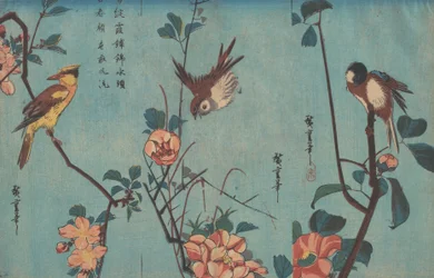 Meise und Kamelien, Spatz und Wildrosen und Schwarzkehlchen und Kirschblüten