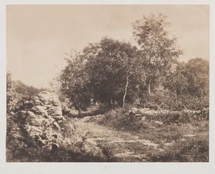 Unbetitelte Szene von Fontainebleau, ca. 1853