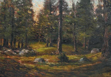 Andrea Tavernier Die Lichtung