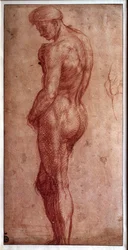 Studie eines männlichen Aktes Zeichnung a la sanguine von Andrea d