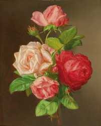 Rosen