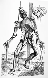 Die Platten aus dem zweiten Buch der De Humani Corporis Fabrica