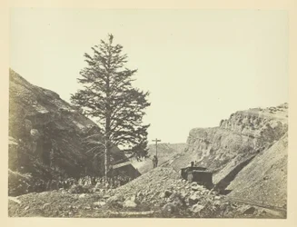 Tausend-Meilen-Baum, Wilhelminas Pass