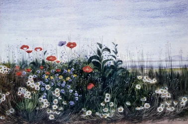 Die Blumen der Felder. Gemälde von Andrew Nicholl (1804-1886) Private Sammlung.