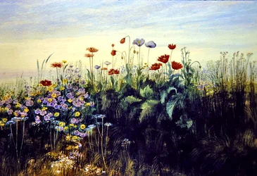 Wildblumen