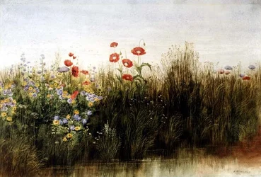 Wildblumen an einem Bach