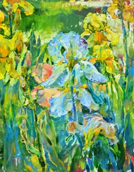 Farbenprächtiger Irisgarten