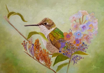 Bunter Kolibri Garten