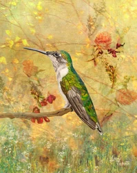 Goldener Kolibri auf Sitzplatz
