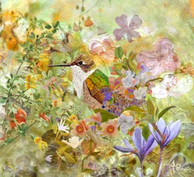 Kolibri Gartenblumen