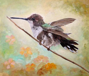 Kolibri auf Zweig