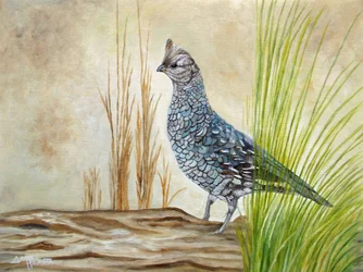 Raufußhuhn auf Baumstamm