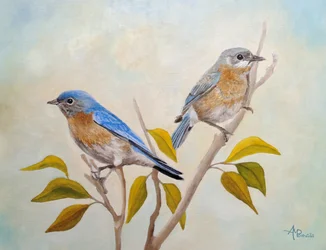 Zwei Blaue Vögel auf Ast