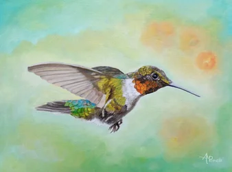 Lebendiger Kolibri im Flug