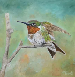Leuchtender Kolibri auf Ast