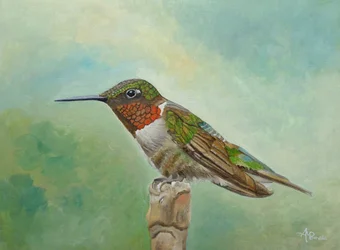 Leuchtender Kolibri auf Ast