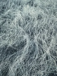 Frostiges Wintergras