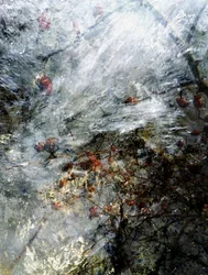 Gefrorene rote Beeren