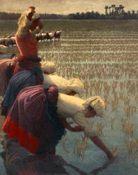 Die Mondine (italienische Reisarbeiterinnen)