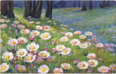 Gänseblümchen, Postkarte, 1940er Jahre