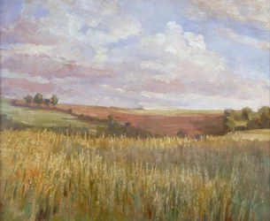 Das Kornfeld