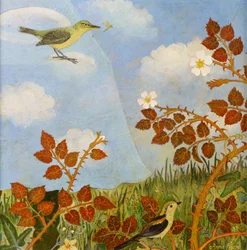 Vögel auf einer Wolke