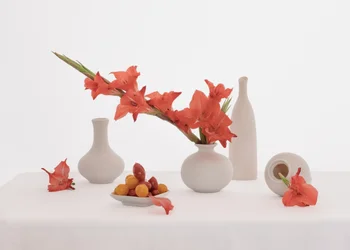 Stillleben mit orangefarbener Gladiole