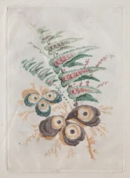 Neue Suite von Blumenportfolios ideal zum Entwerfen und Malen: Blumenfantasien