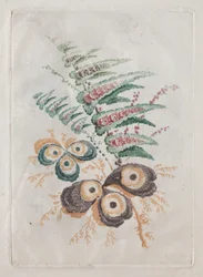Neue Suite von Blumenportfolios ideal zum Entwerfen und Malen: Blumenfantasien, ca. 179
