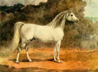 Ein berühmter arabischer Hengst, um 1870er Jahre, 1944