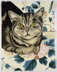 Getigerte Katze