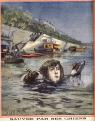 Eine Frau fällt in die Seine und wird von ihren Hunden in Paris gerettet. Gravur in "Le petit parisien" vom 14.08.1910. Private Sammlung.