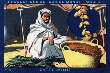 Produktionen rund um die Welt: Datteln in Marokko. Chromolithografie von 1933 im „Album Joseph-Milliat“.