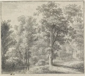 Eingang des Waldes