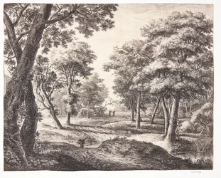 Waldweg