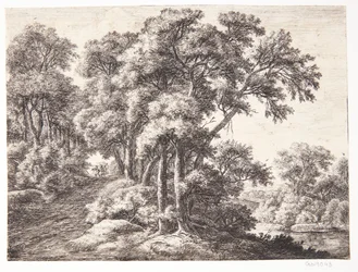 Waldweg an einem Fluss