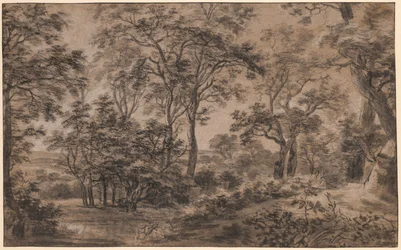 Waldlandschaft