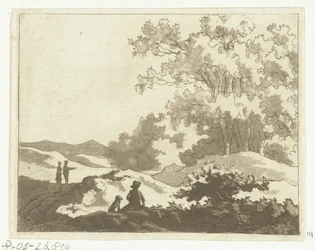 Dünenlandschaft