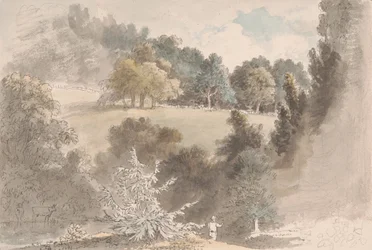 Landschaft mit Bäumen