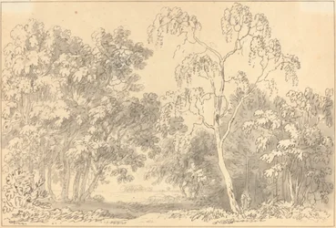 Bewaldete Landschaft