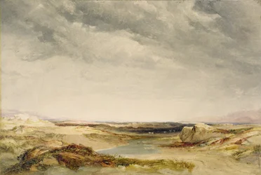 Eine Heide in Küstennähe