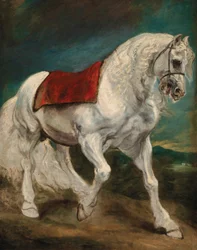 Ein andalusisches Pferd