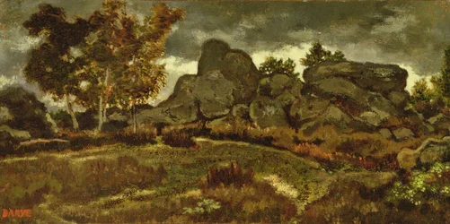 Wald von Fontainebleau